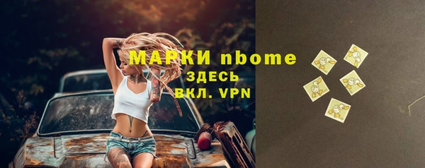 хмурый Алзамай