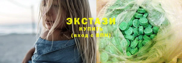 СК Алексин