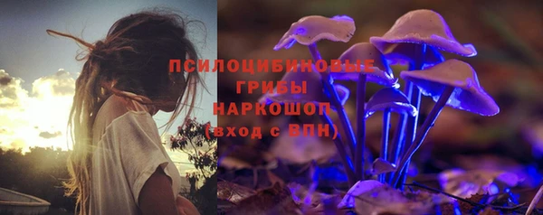 хмурый Алзамай