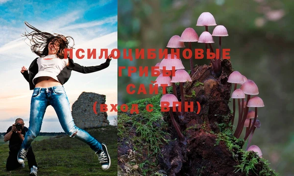 СК Алексин