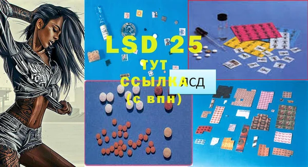 хмурый Алзамай