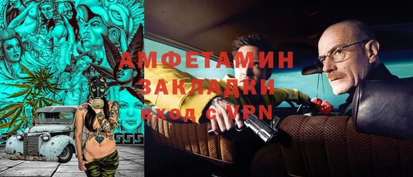 СК Алексин
