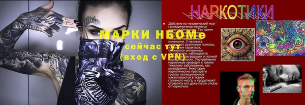 хмурый Алзамай