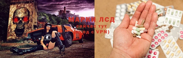 СК Алексин