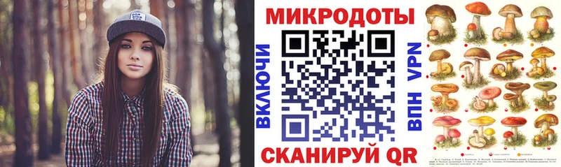 Псилоцибиновые грибы Psilocybine cubensis  закладки  Неман 